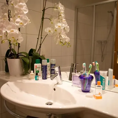 Lejlighed Steiner - In - Out *