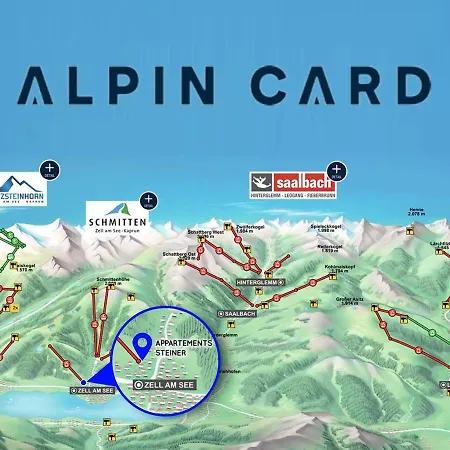 Steiner - In - Out Appartamento Zell am See