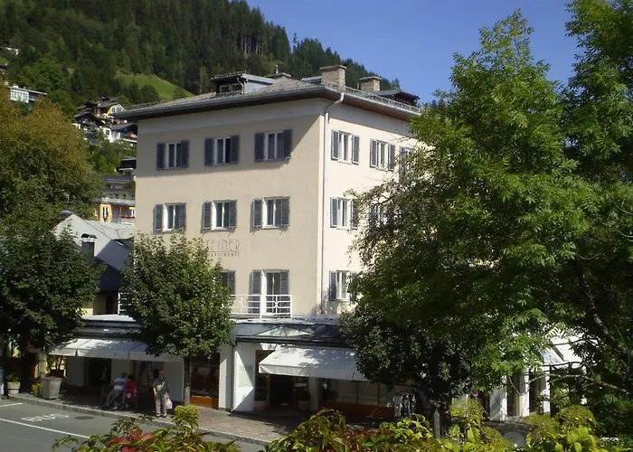 Apartment Steiner Zell am See